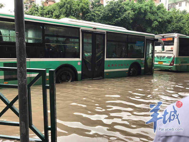 广州遭暴雨袭城 日雨量破广州历史纪录