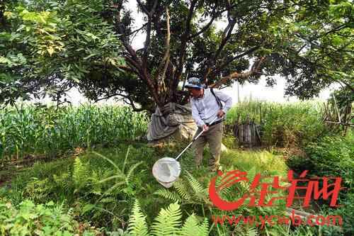 广州启动第二次野生动植物资源本底调查