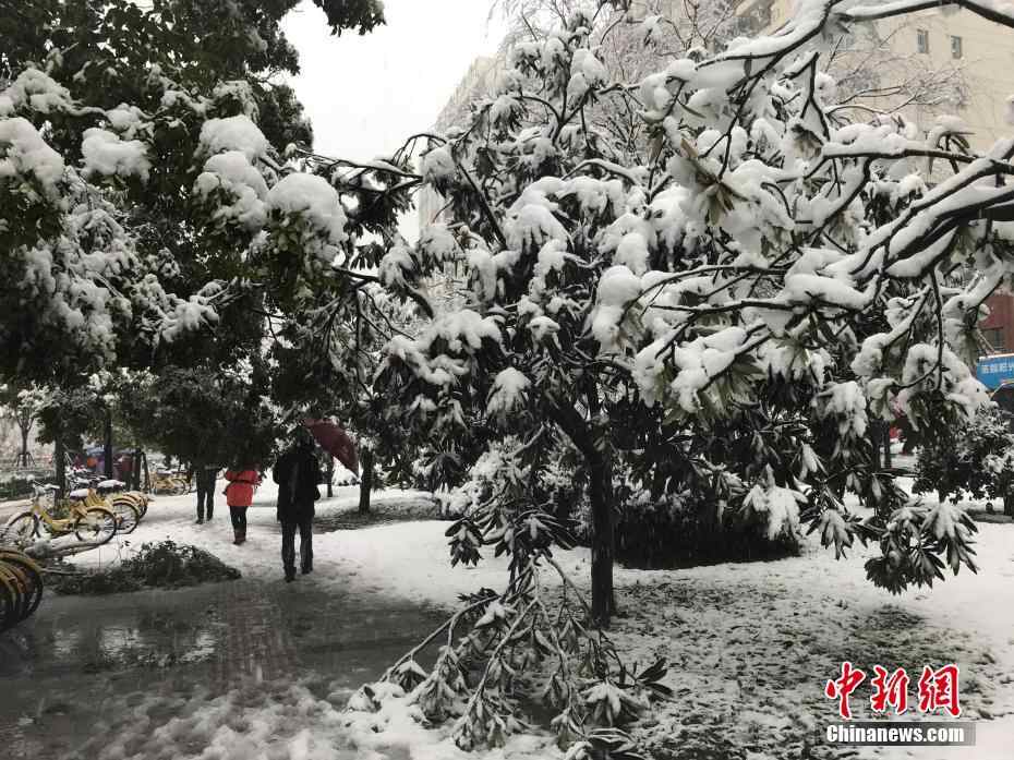 扬州迎来新年首场雪 积雪深度已超10厘米