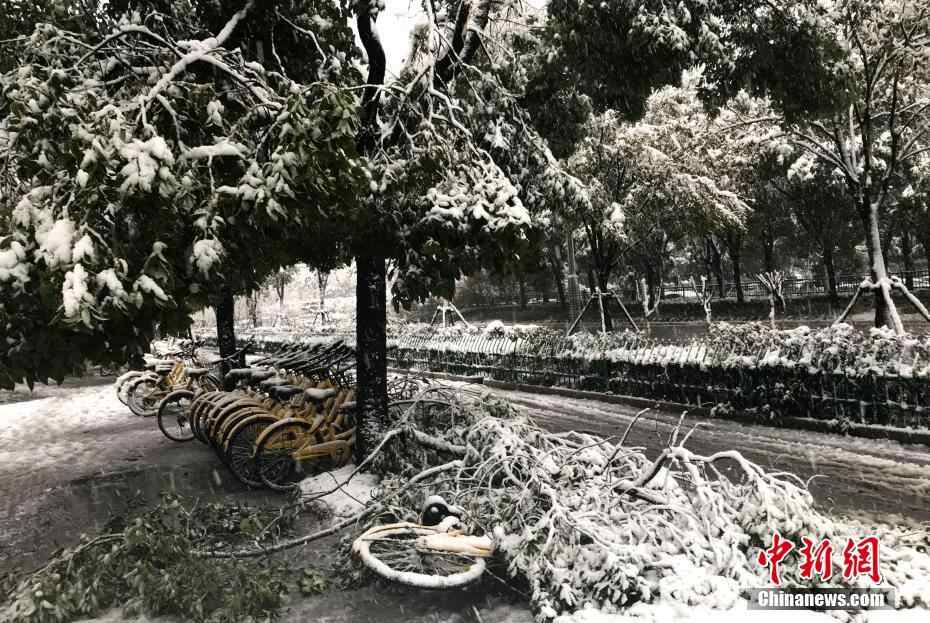 扬州迎来新年首场雪 积雪深度已超10厘米