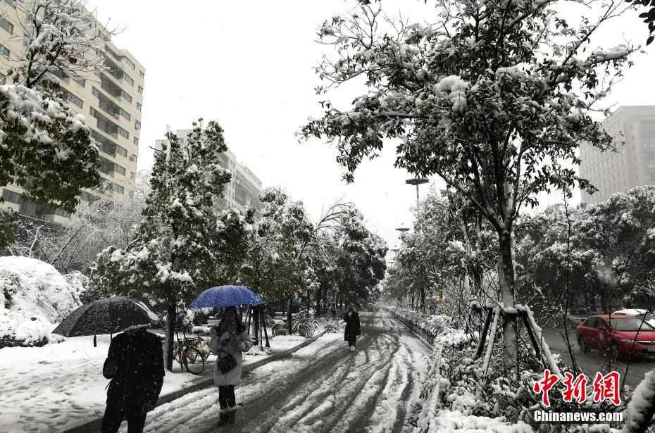 扬州迎来新年首场雪 积雪深度已超10厘米