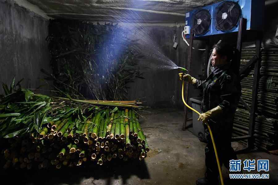 零下15摄氏度 大熊猫这样过冬！
