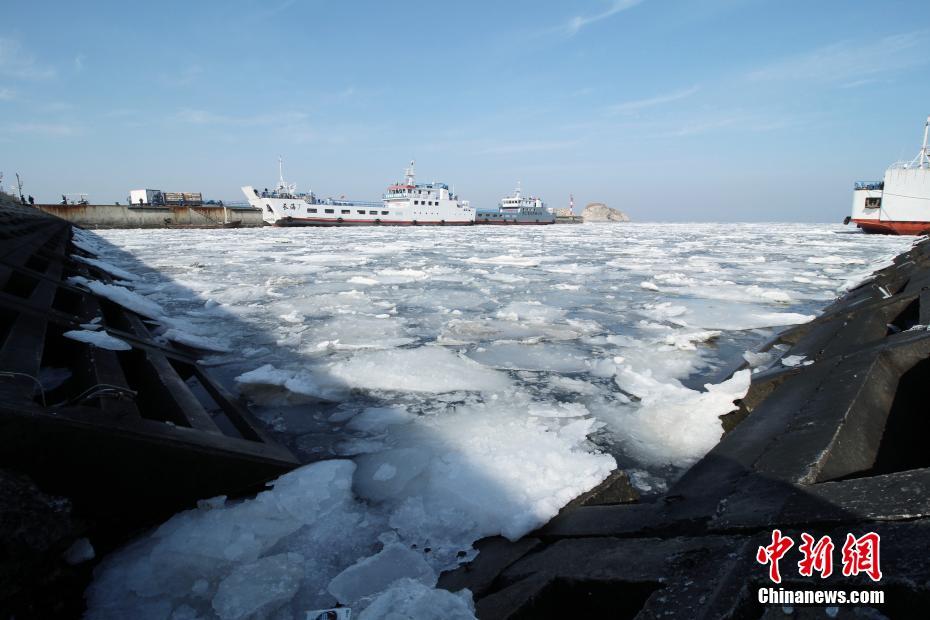 辽宁大连黄海海域出现大面积海冰