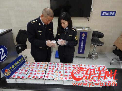 被查获的酸奶 被查获的酸奶