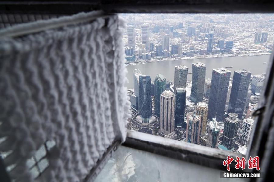 上海全城银装素裹景色迷人
