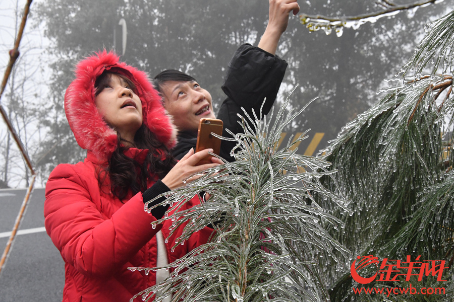 广东南岭公园冰挂成了游客拍照挚爱