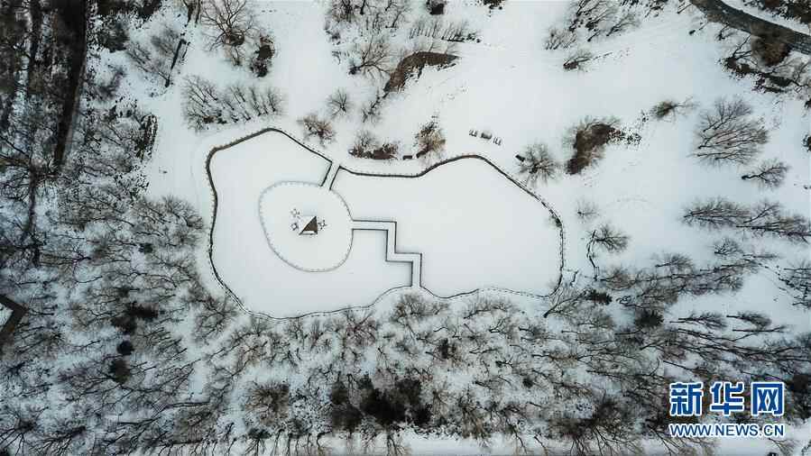 （环境）（4）故城冬韵