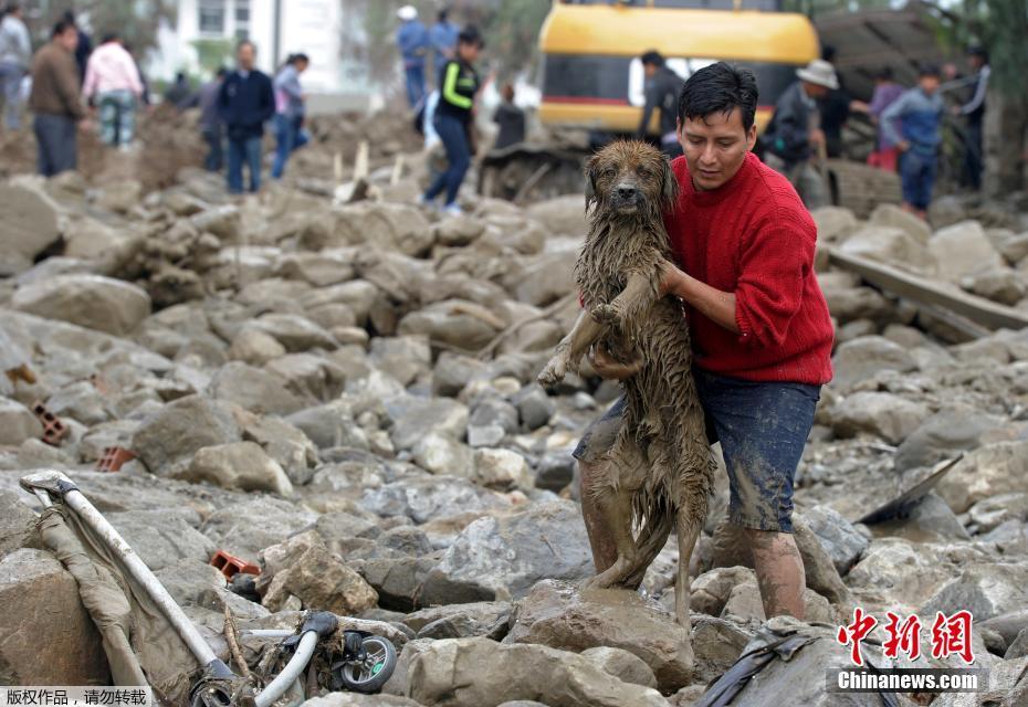 玻利维亚连遭暴雨引发洪水 民众抱“泥狗”前行