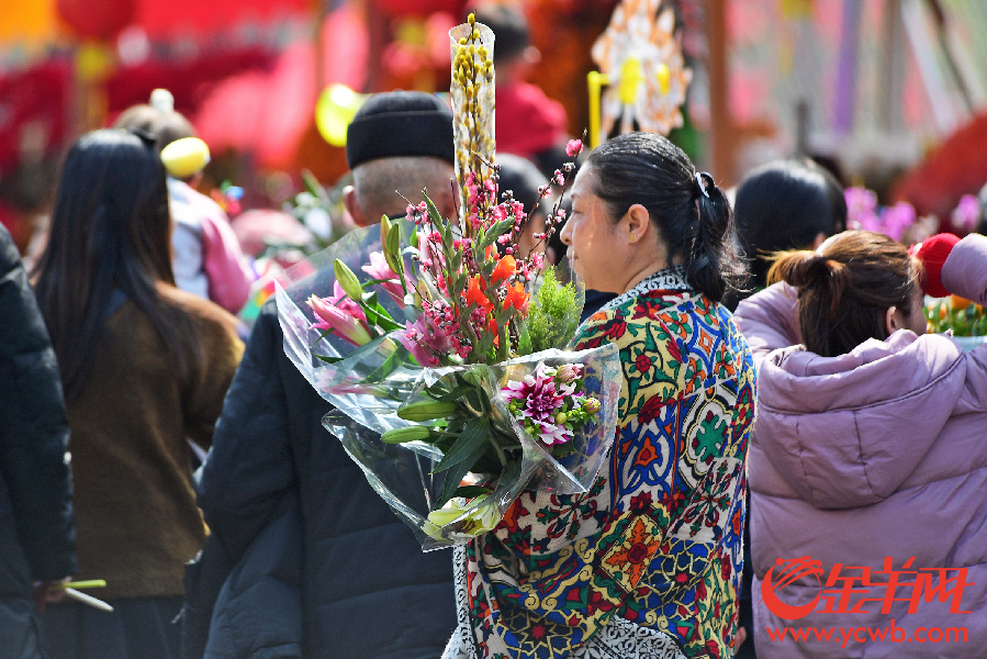 2018天河迎春花市今天开始 夜晚亮灯美景抢先看