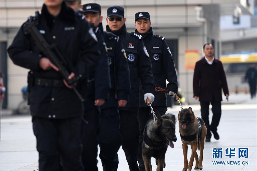 警犬“虎子”的新春第一班岗