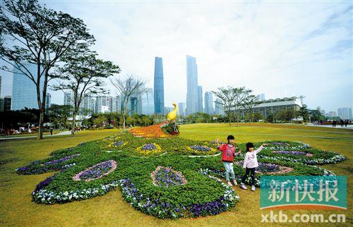 花城看花 广州打造30000平米花海、花镜新春嘉年华