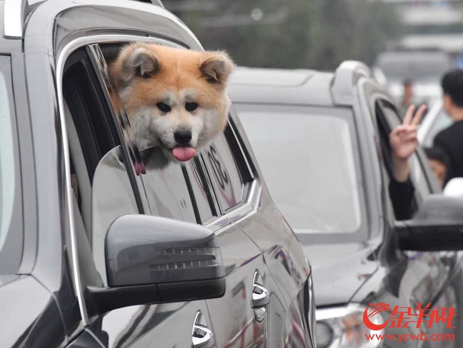 海口秀英港滞留车辆和旅客开始有序登船