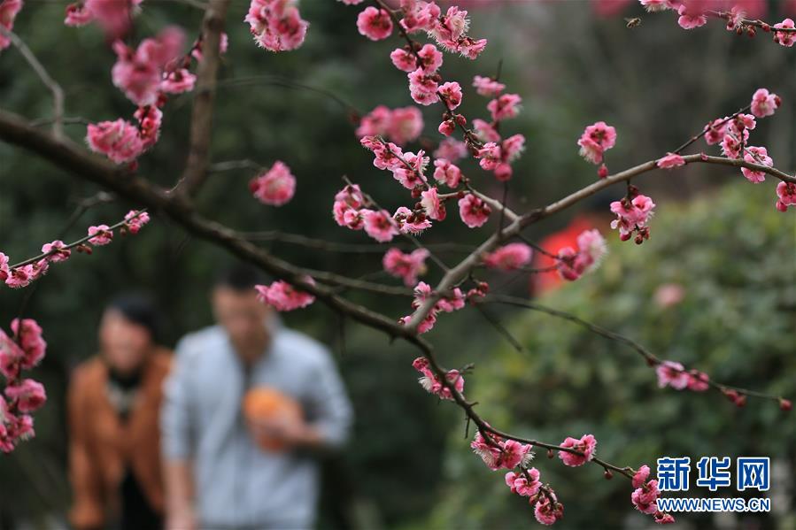 #（环境）（2）春暖花开