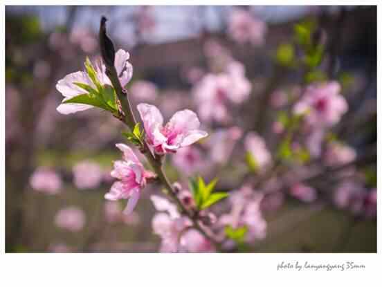 “家乡美·年味浓”采风团走访揭阳 用镜头记录岭南名城大风采