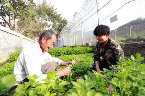 赵佳燕常常利用休息时间到菜地和大家聊聊家常,及时掌握社区的动态