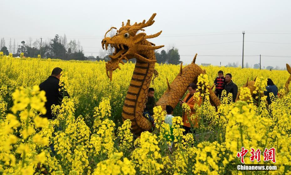 成都邛崃万亩油菜花盛开引八方游客