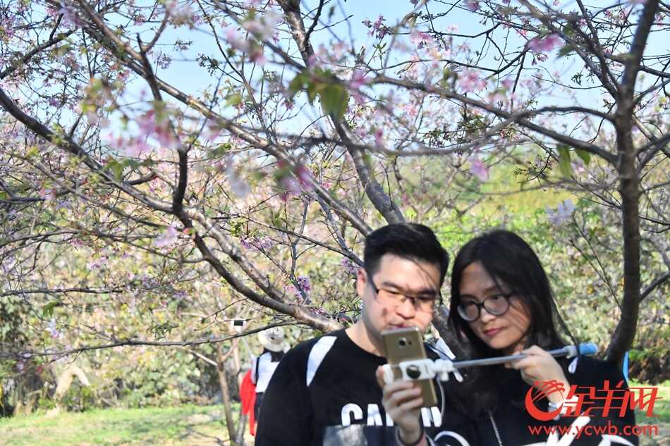 “广州蓝”下赏“广州红”