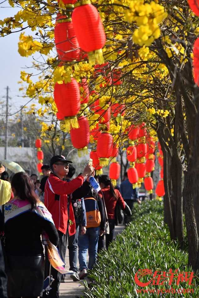 “广州蓝”下赏“广州红”