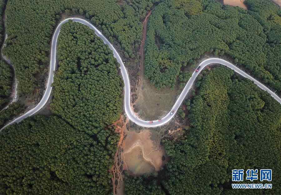 （图文互动）（4）贵州沙子坡林场：三代护林员守护一片“林海”