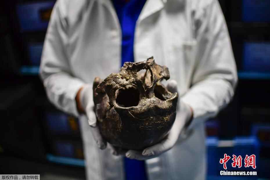 探访墨西哥国家人类学博物馆 馆藏2万余件人类骨骼