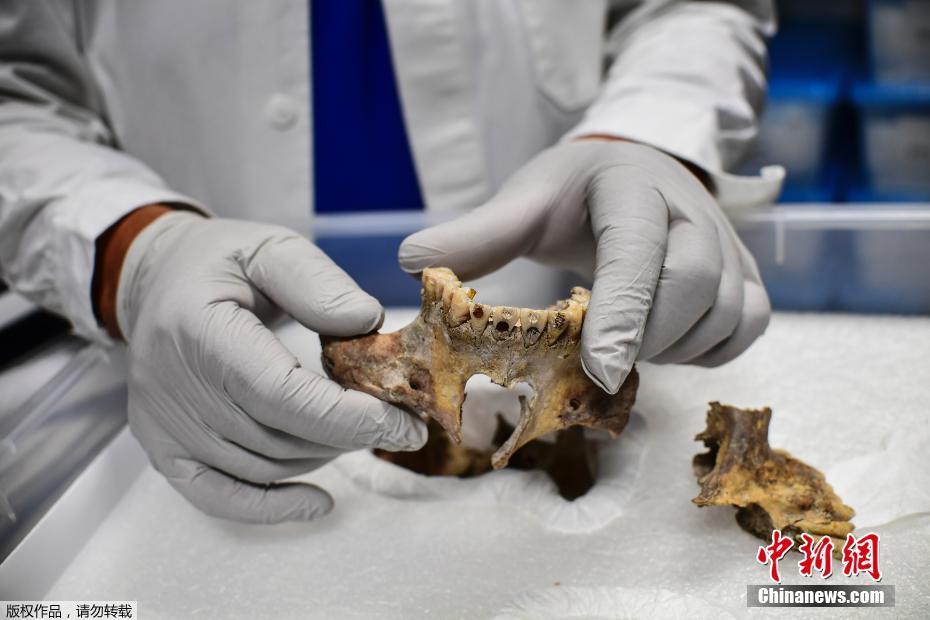 探访墨西哥国家人类学博物馆 馆藏2万余件人类骨骼
