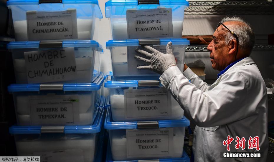 探访墨西哥国家人类学博物馆 馆藏2万余件人类骨骼