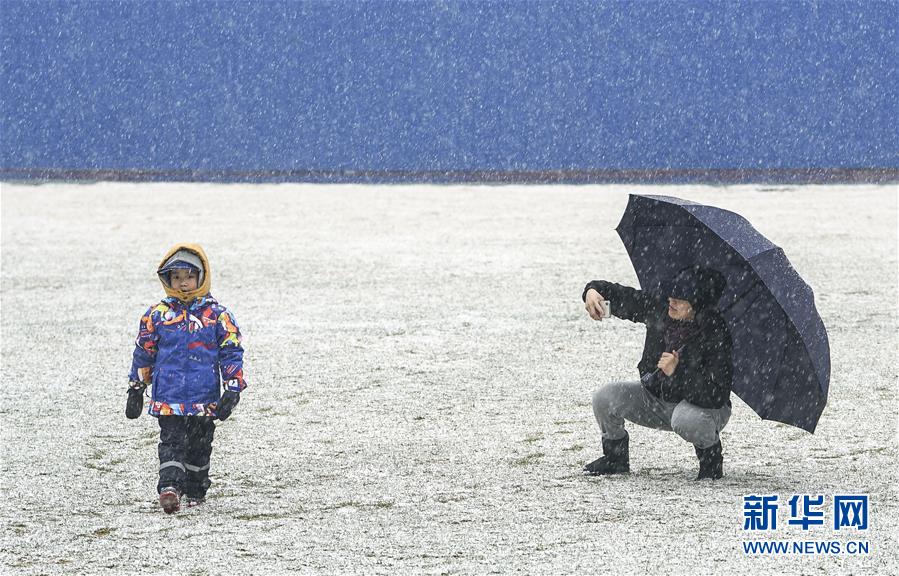 终于等到你！北京迎来春雪 