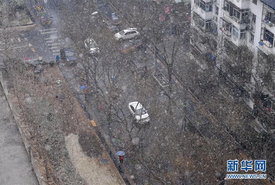 终于等到你！北京迎来春雪 