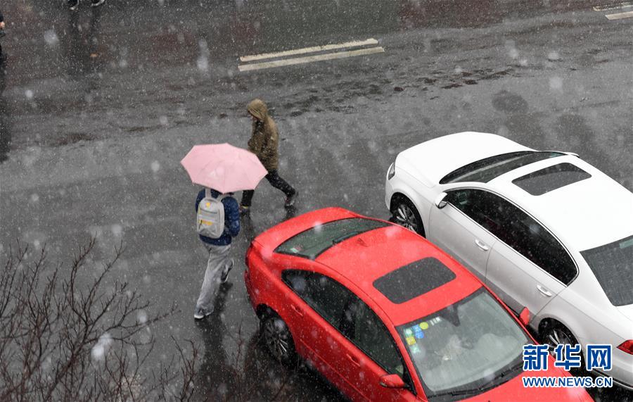 终于等到你！北京迎来春雪 