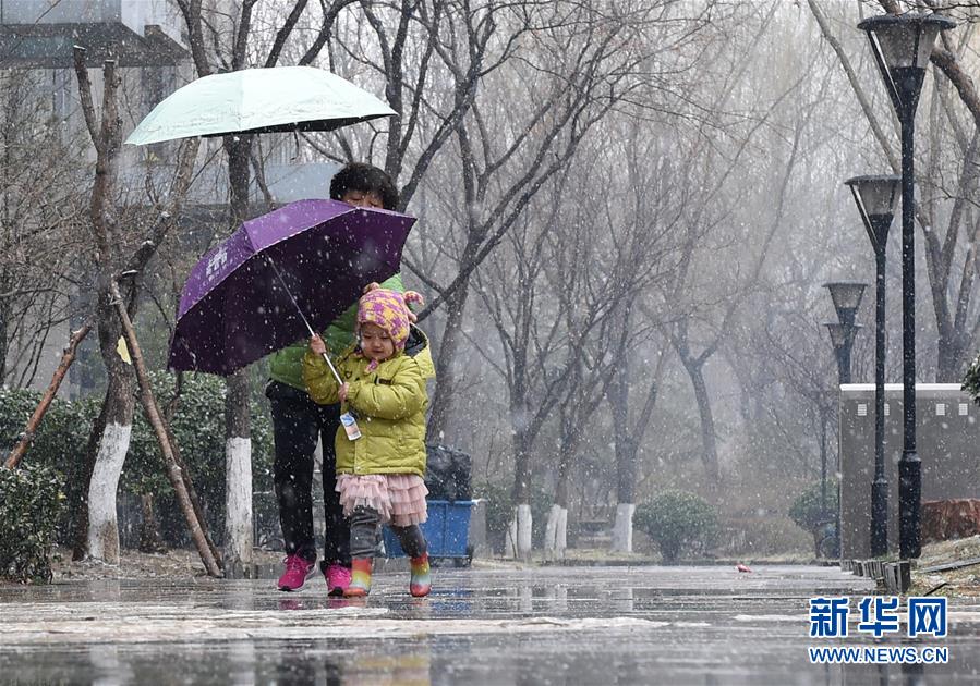 终于等到你！北京迎来春雪 