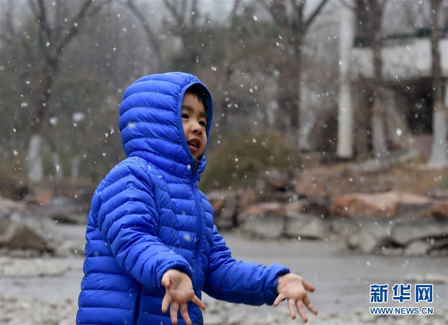 终于等到你！北京迎来春雪 