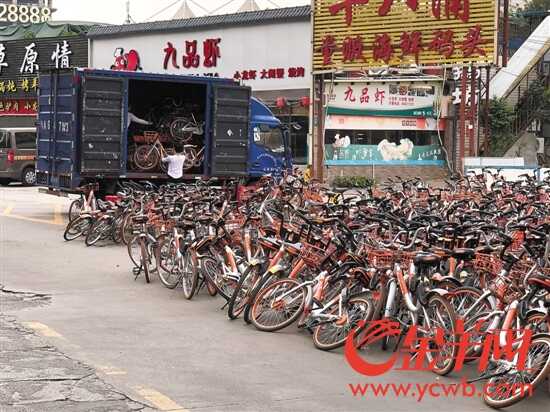 工作人员在整理共享单车 工作人员在整理共享单车