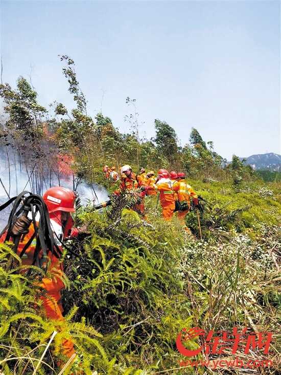 汕尾干警和防火部门全力扑救山火