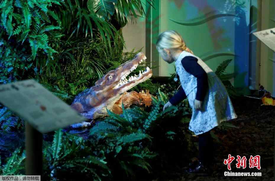 比利时有座“动物园” 猩猩鳄鱼都用巧克力制成