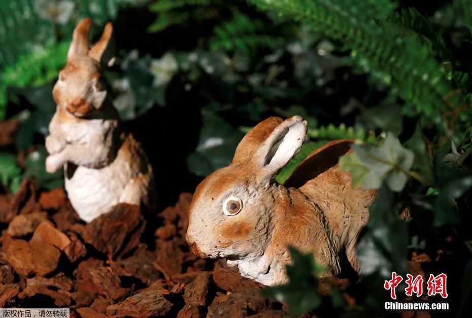 比利时有座“动物园” 猩猩鳄鱼都用巧克力制成