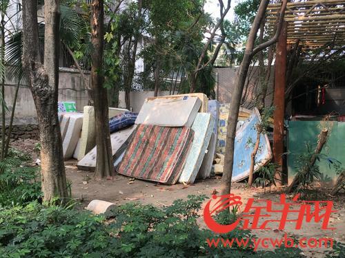 垃圾分类趋严，广州部分社区垃圾站大件垃圾“爆仓”