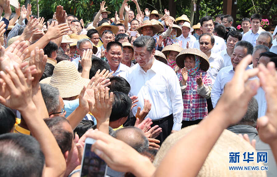 图：习近平在海南考察