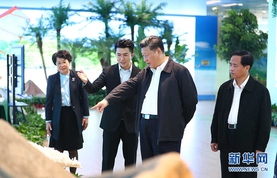 图：习近平在海南考察