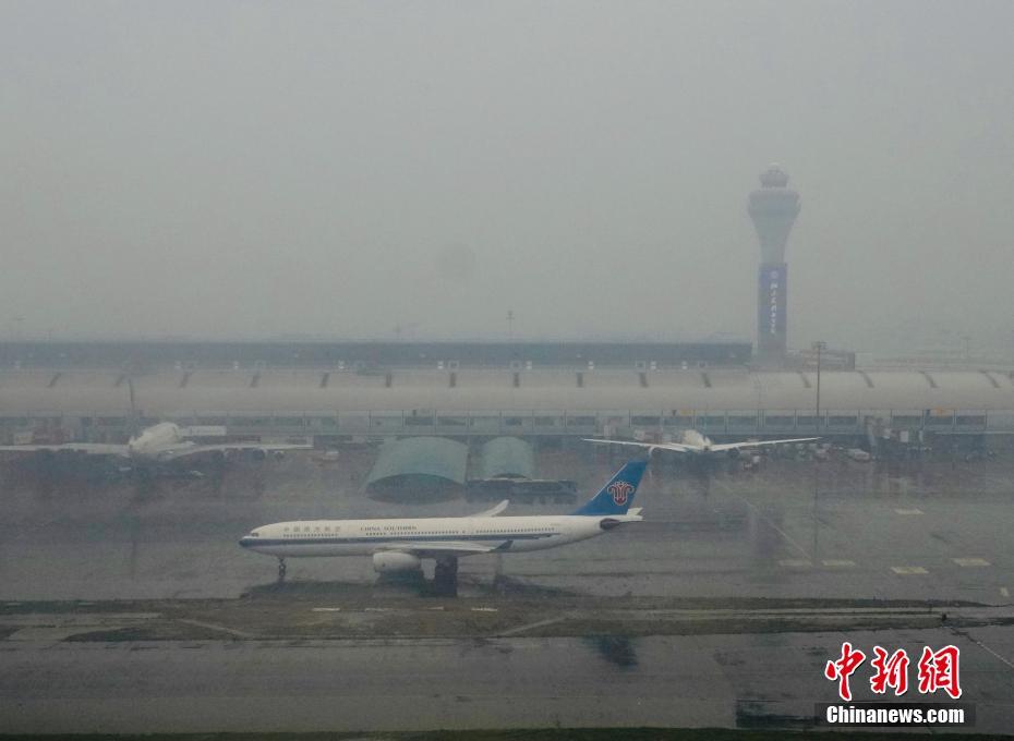 北京降雨又降温 大熊猫蒙双眼雨中萌萌酣睡