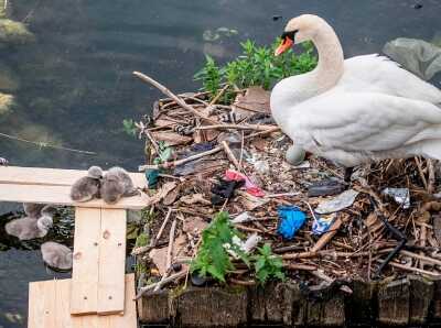  世界环境日！各国塑料污染画面令人心碎
