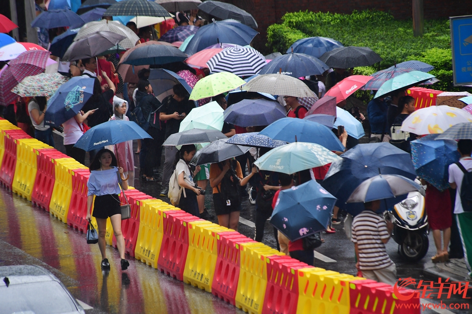 高考首日，广州大雨，在执信中学考点，大门外，家长在雨中盯着大门内等待。 记者 邓勃 摄影