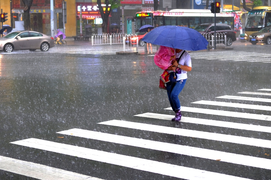 早高峰广州发布暴雨黄色预警 行人雨中匆匆出