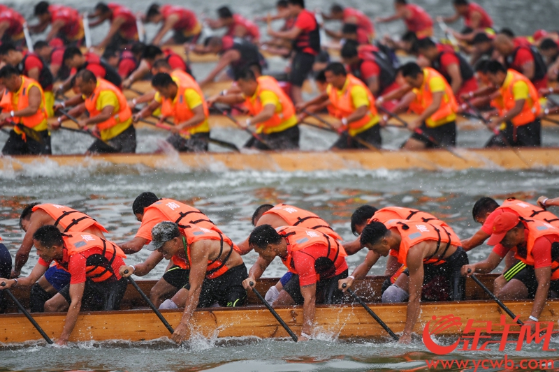 2018年广州国际龙舟邀请赛于6月23日开锣。 图为 珠江水面龙舟争流，各支参赛队伍奋力划桨，力争头筹。 记者 周巍 摄