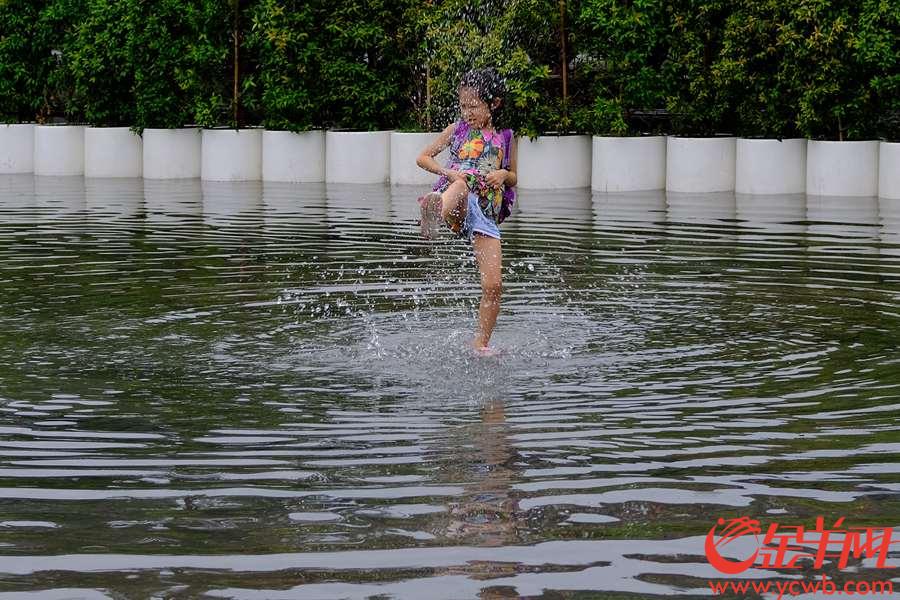 受台风影响，广州今日下午阵雨，给连续酷热的广州“降降温”，陈家祠广场一摊积水备受“欢迎”，孩子、街坊开心玩水。金羊网记者 陈秋明 摄影报道