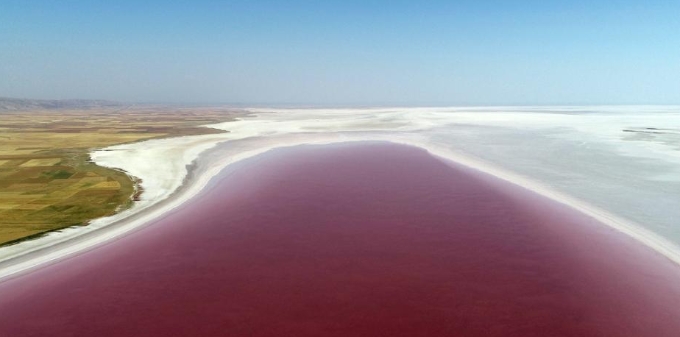  土耳其盐湖盐藻生长 将湖水变美丽红酒色