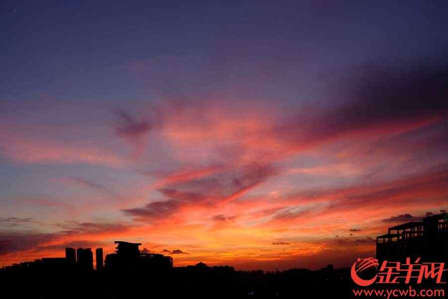 台风“山神”已于今天凌晨4点50分登陆海南万宁万城镇，之后继续西行。今天傍晚,“山神”留给广州靓丽晚霞。金羊网记者 陈秋明 摄