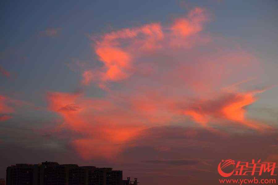 台风“山神”已于今天凌晨4点50分登陆海南万宁万城镇，之后继续西行。今天傍晚,“山神”留给广州靓丽晚霞。金羊网记者 陈秋明 摄