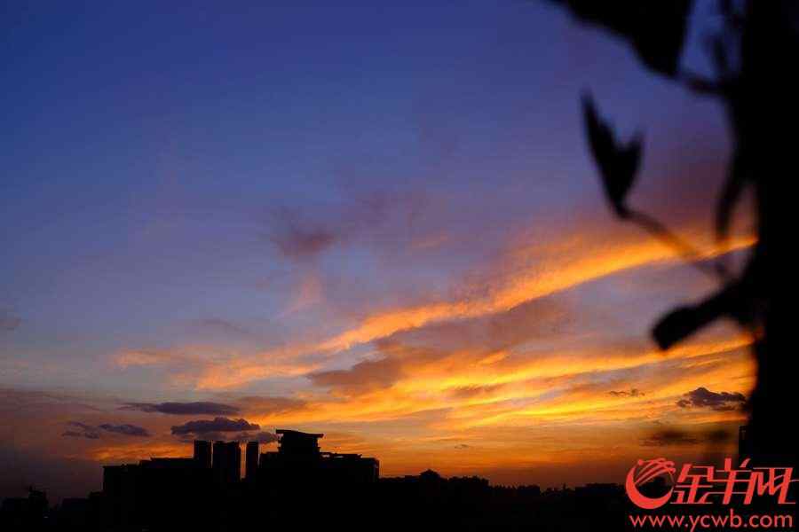 台风“山神”已于今天凌晨4点50分登陆海南万宁万城镇，之后继续西行。今天傍晚,“山神”留给广州靓丽晚霞。金羊网记者 陈秋明 摄