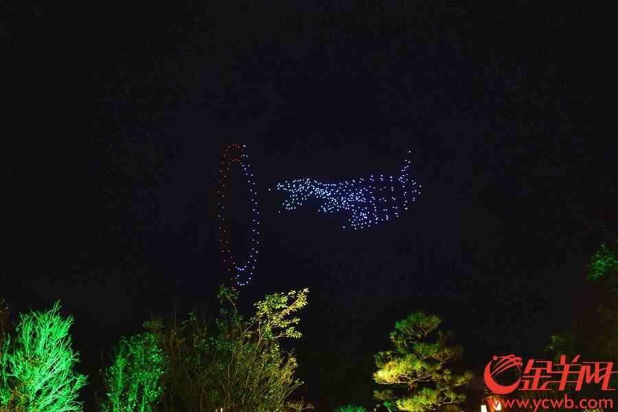 2018年7月23日，珠海长隆海洋王国，近百架无人机变幻出各种图案和排列组合，带领全场进入王者筑梦空间。金羊网记者 宋金峪 摄
