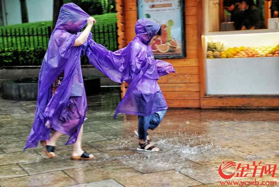 2018年7月23日，今日大暑，“小暑接大暑，热得无处躲。”一年里最热的时候来了，带来滚滚热浪的大暑节气正式登场。受台风外围影响，广州并没有持续“烧烤模式”，反而下起了清凉大雨，市民们享受难得的一丝凉意。金羊网记者 汤铭明 摄
